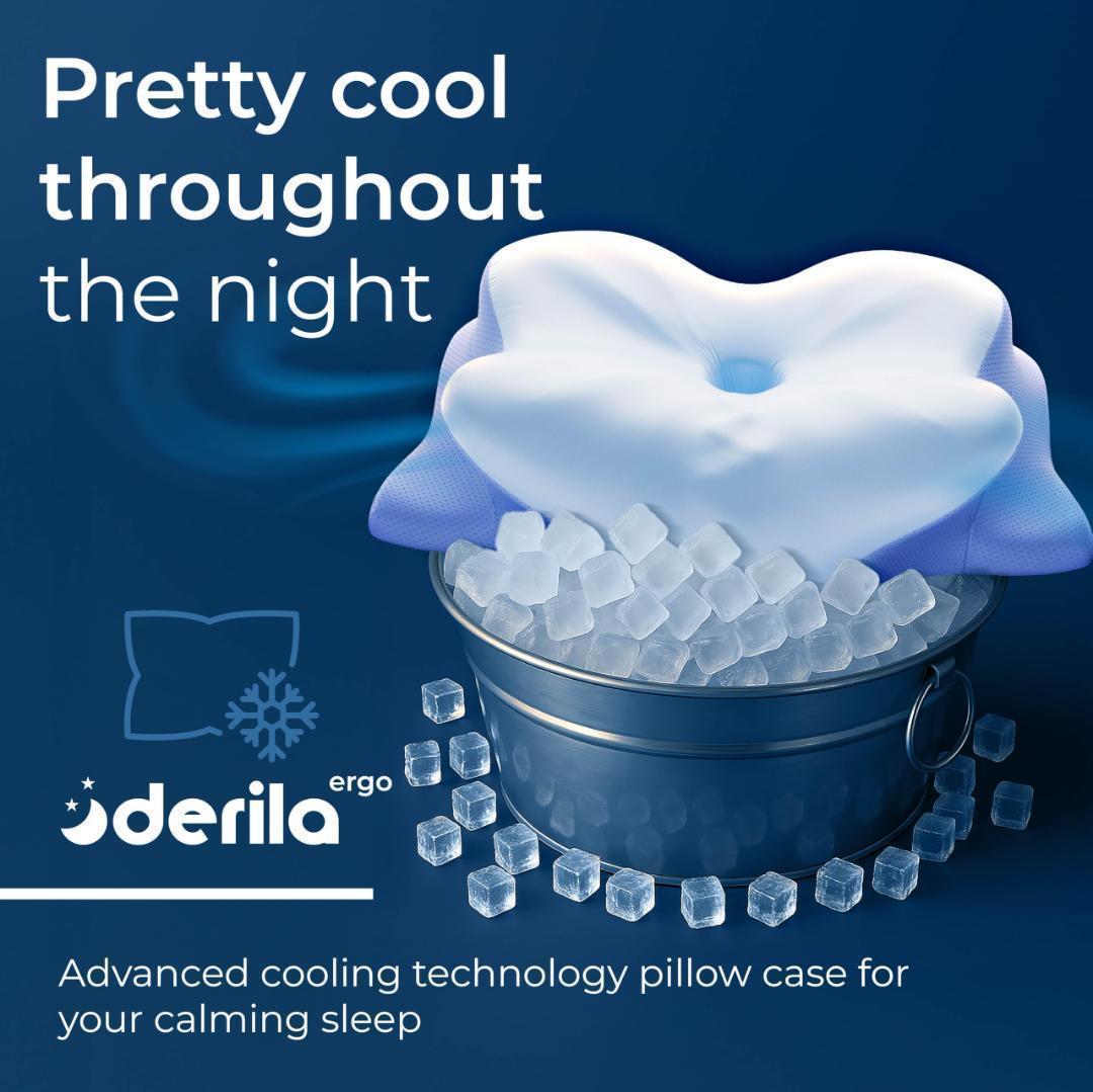 Derila Ergo デリラ エルゴ 枕 快適な睡眠のための頸部ネックピロー