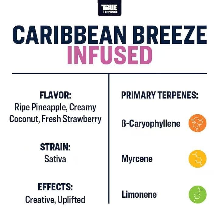 TRUE テルペン 香料 CBD CBN CBG 5ml カリビアンブリーズ