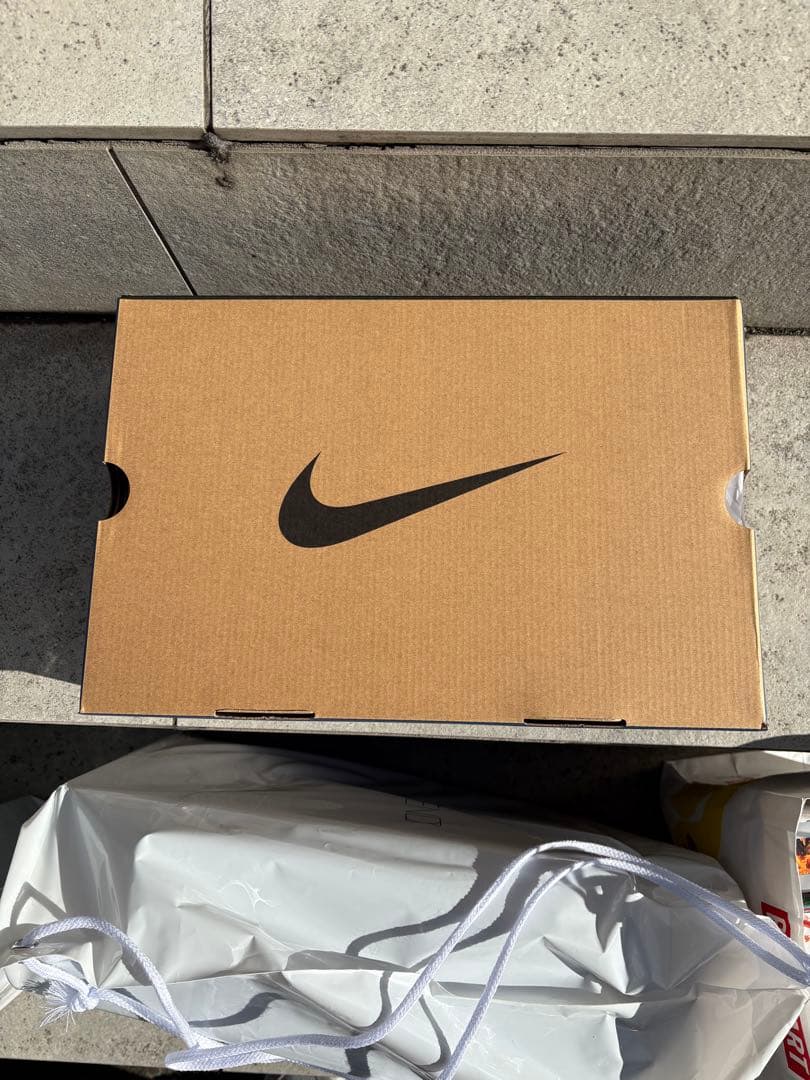 靴 Fragment Nike Air Zoom Spiridon SP