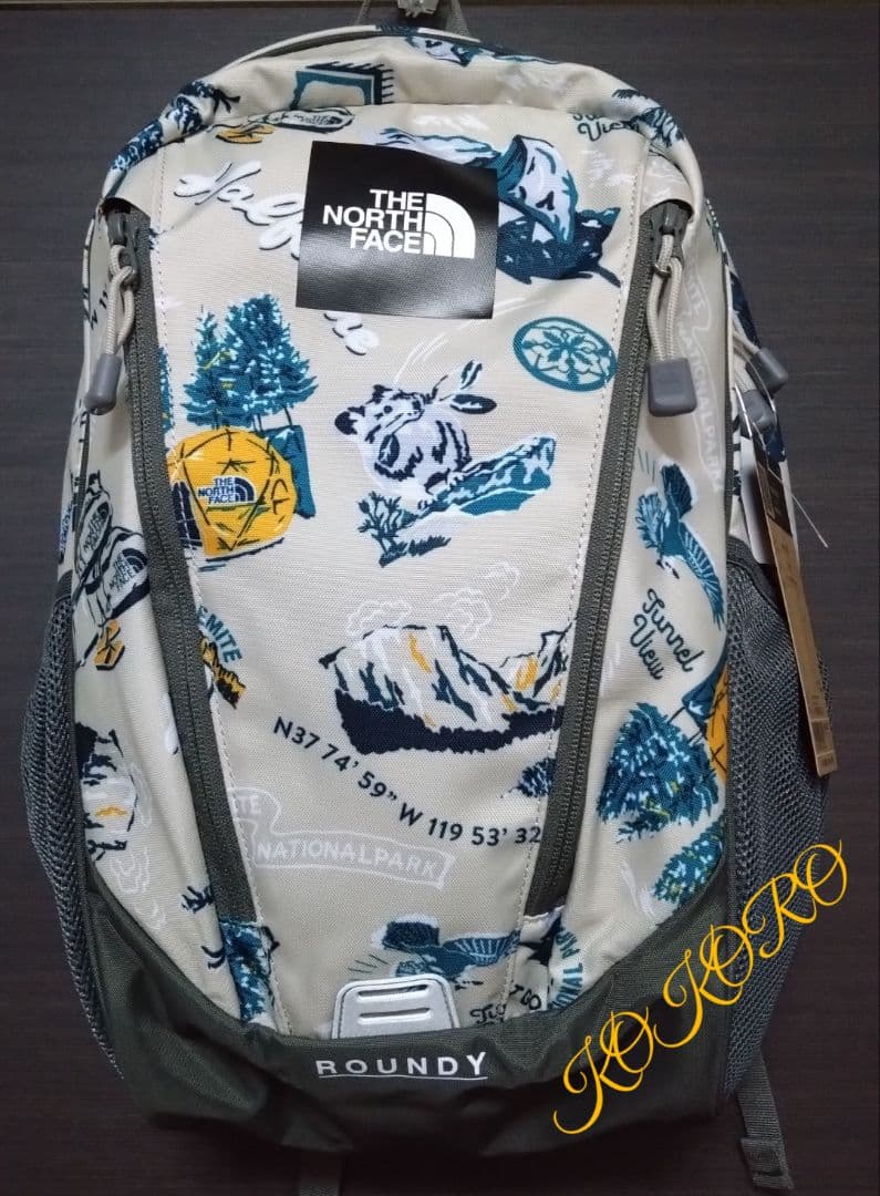 大人も使える 新品 ノースフェイス 22L ラウンディ キッズ カラーYC