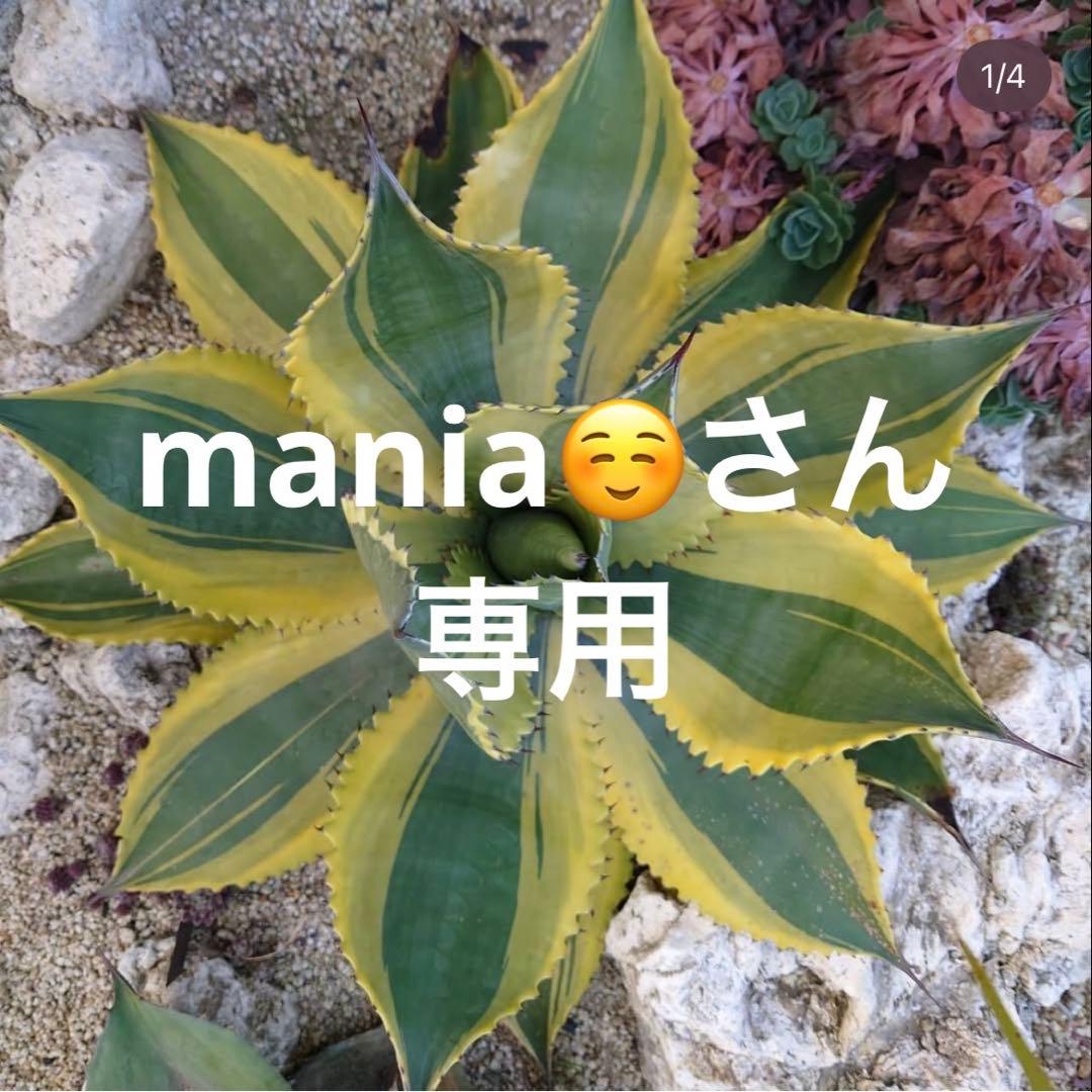 mania☺️さん専用
