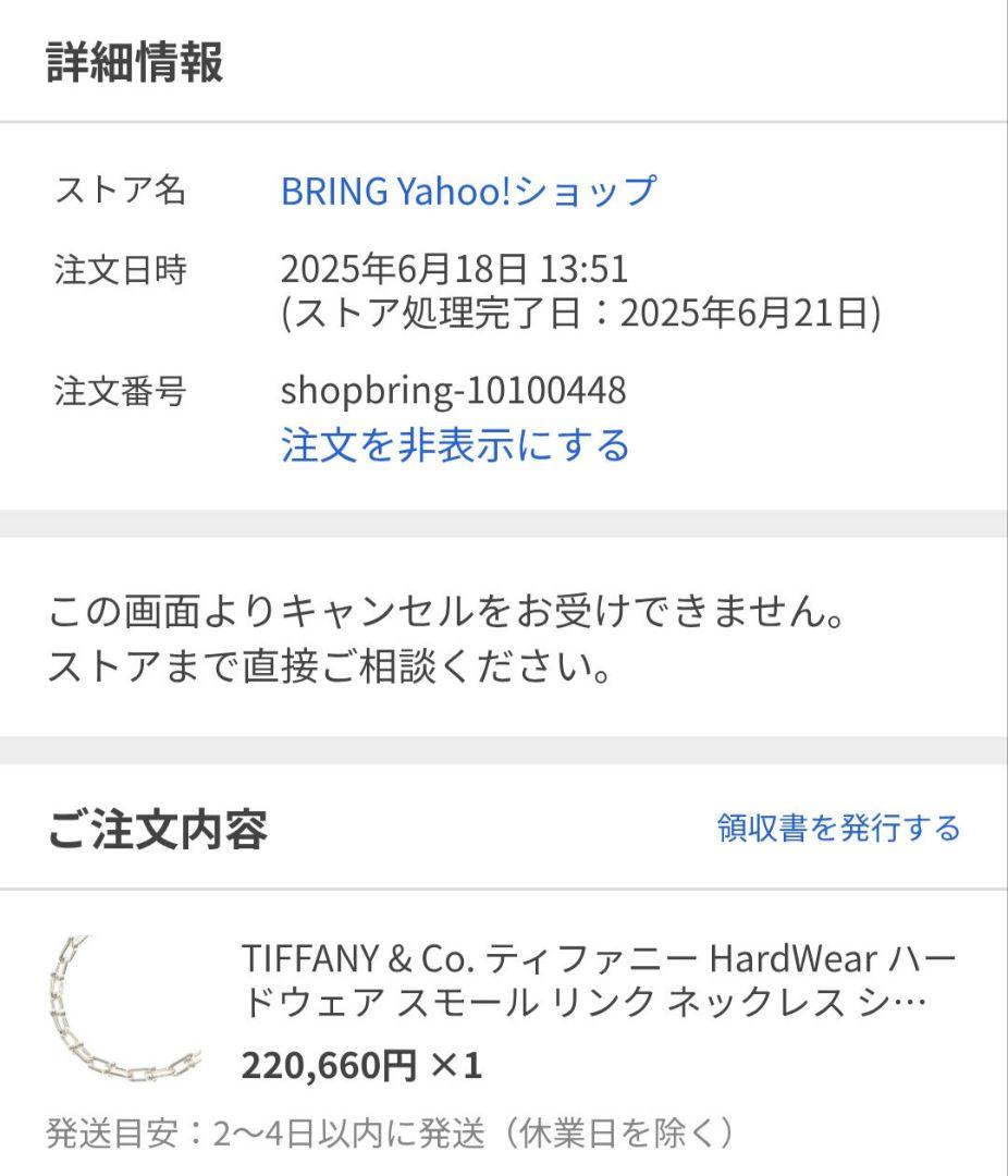 Tiffany ハードウェアスモールリンクネックレス 付属品無し