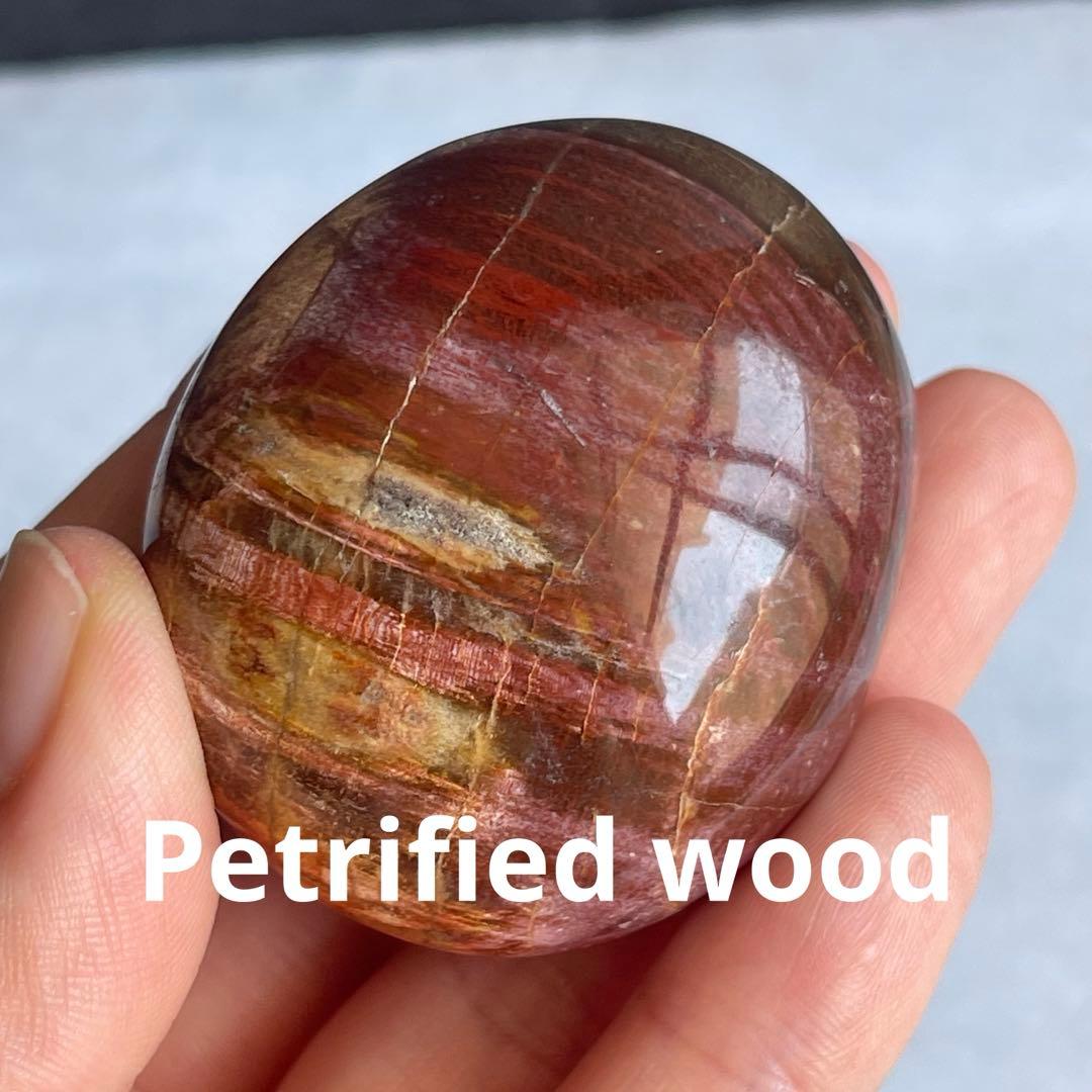 ペトリファイド ウッド パーム 握り石 マダガスカル産
