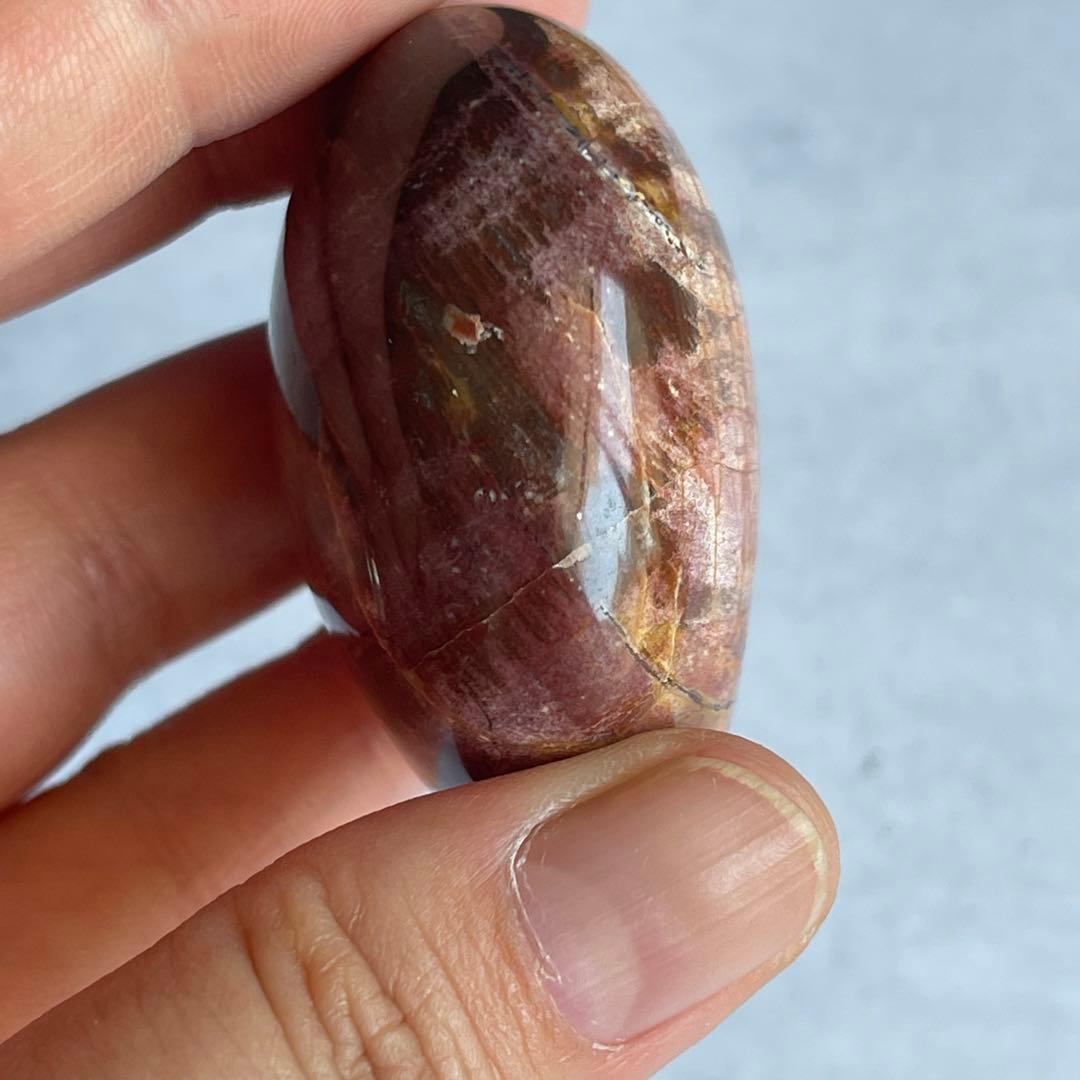 ペトリファイド ウッド パーム 握り石 マダガスカル産