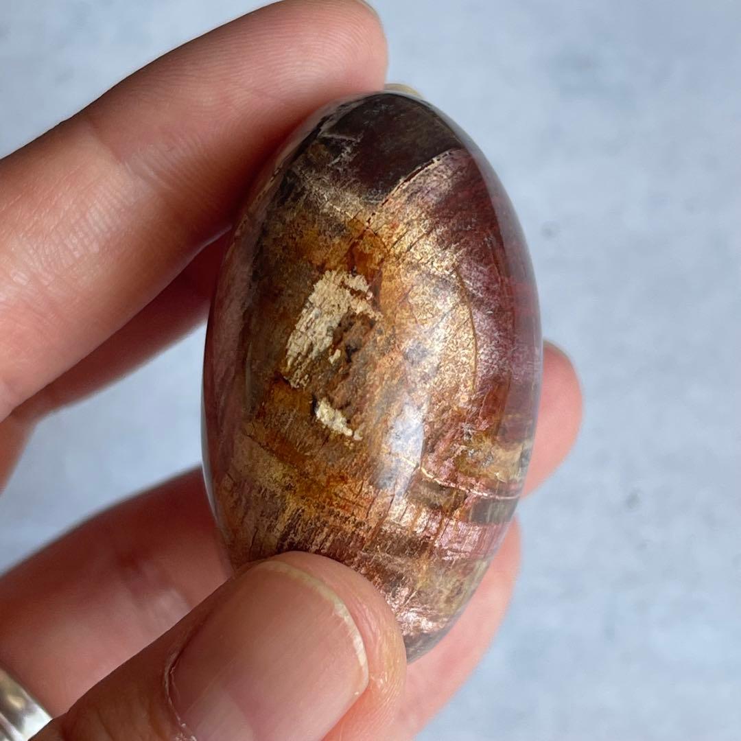 ペトリファイド ウッド パーム 握り石 マダガスカル産
