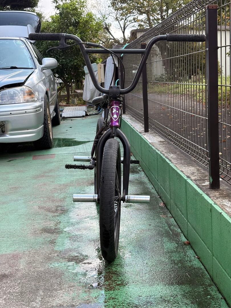 ⭐︎値下げ⭐︎　Subrosa Wings Park 20inch