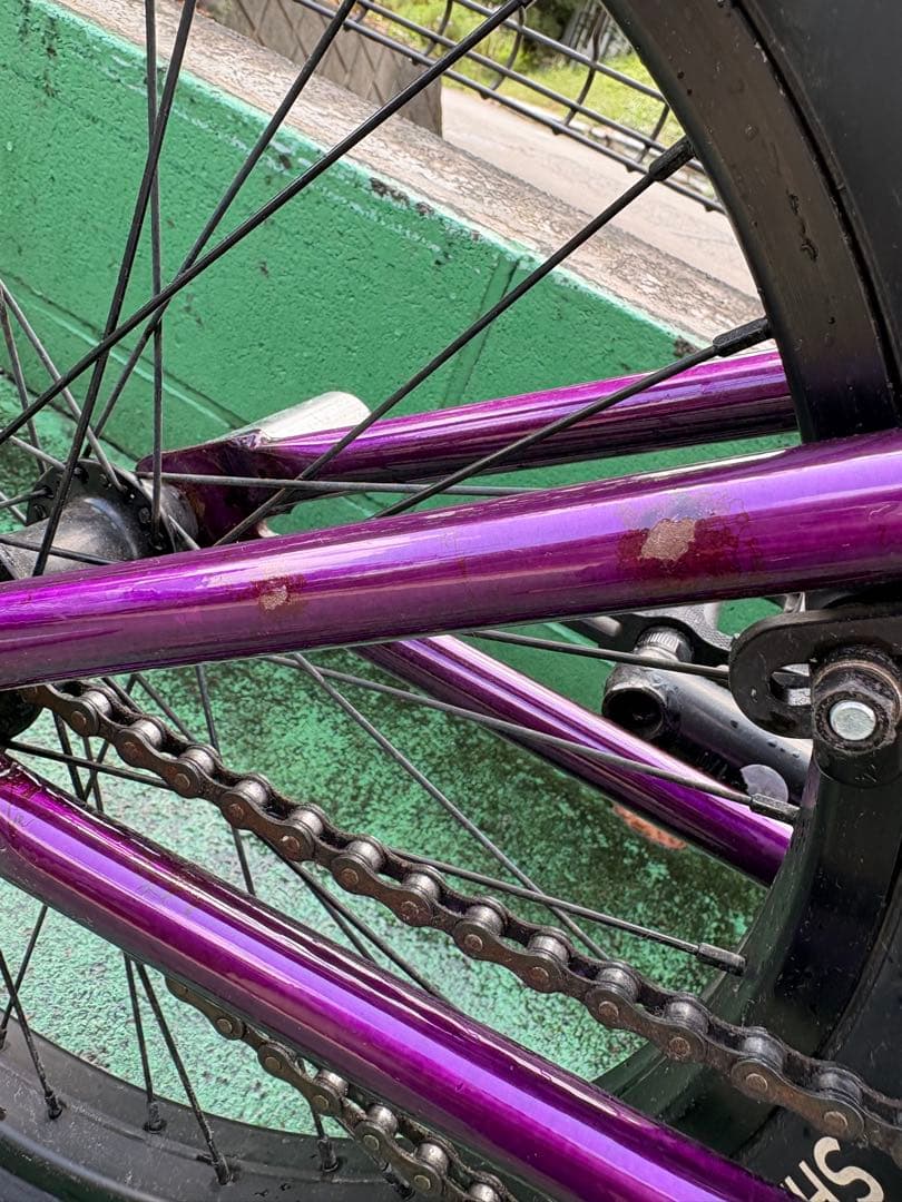 ⭐︎値下げ⭐︎　Subrosa Wings Park 20inch