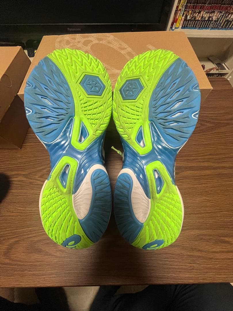ASICS メタライズ（28cm)
