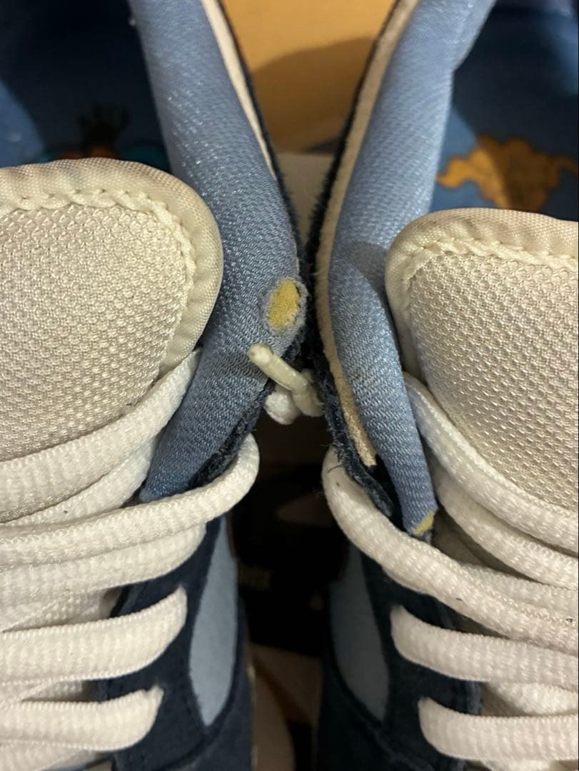 Nike SB Dunk Low FTC Finally ナイキ ダンク ロー