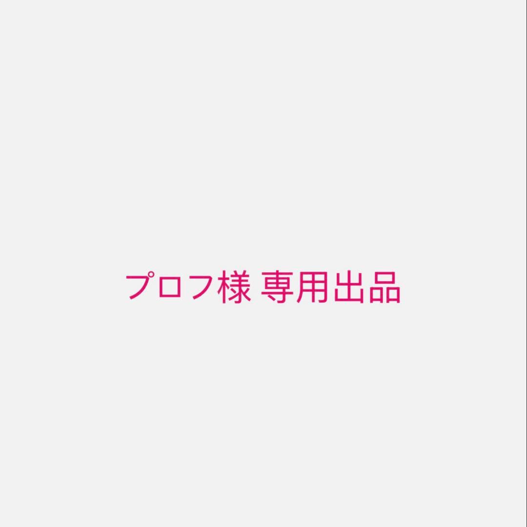 プロフ出品
