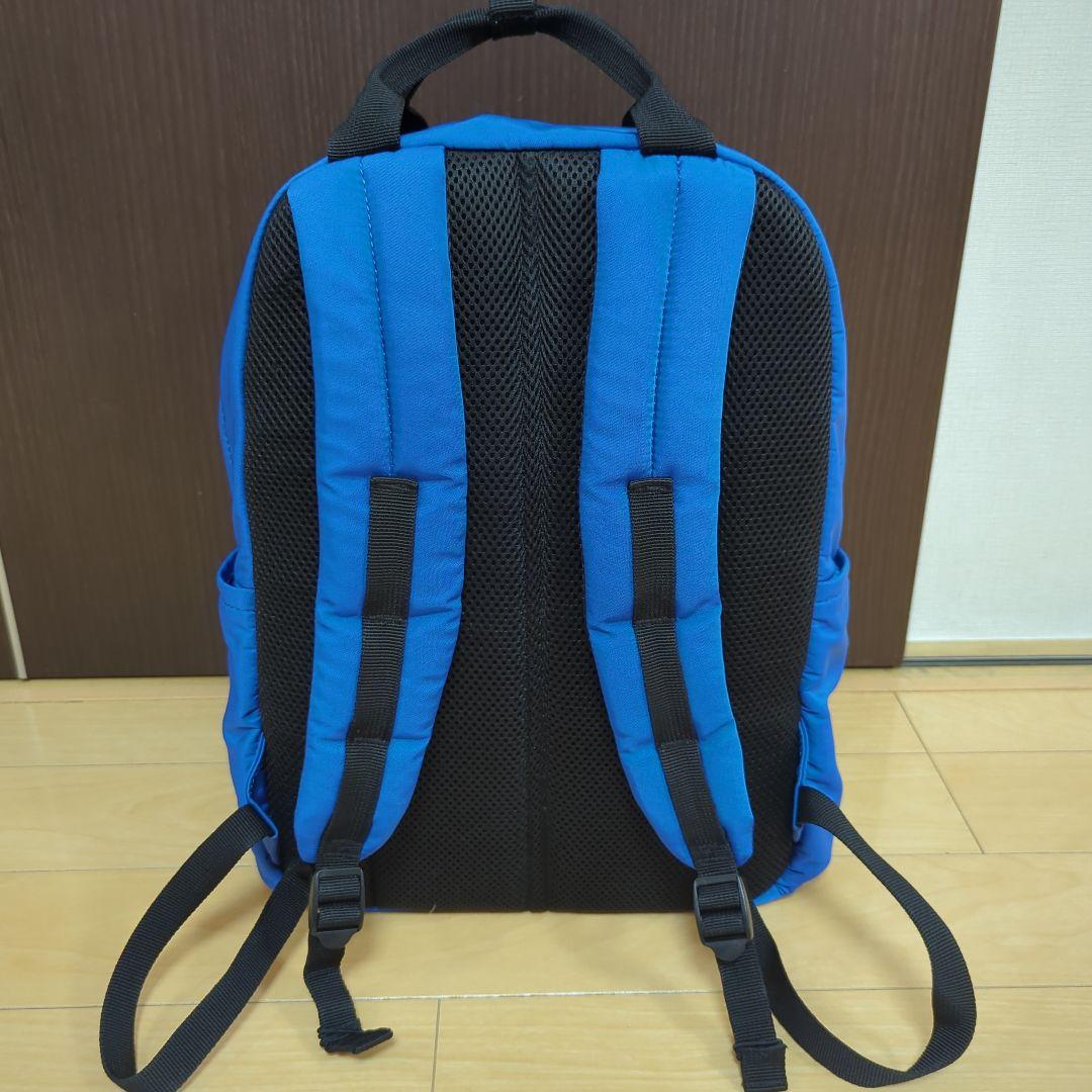 DANTON バックパック／リュック〈PEUPLIERS 17〉(17L)