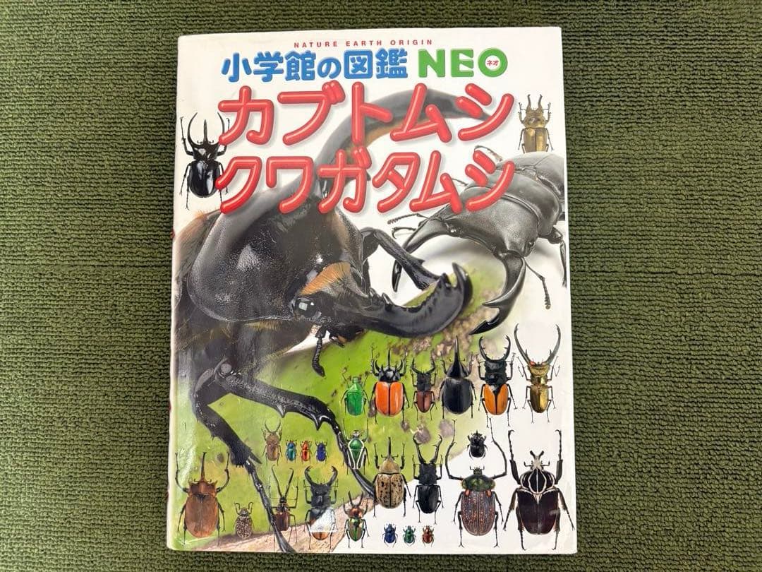 小学館の図鑑NEO10冊 ＆ 学研図鑑1冊、全11冊セット