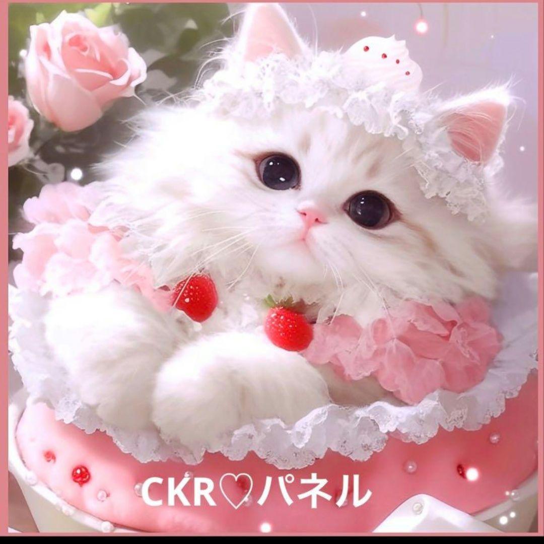 美しい女性パネル生地　ハンドメイド