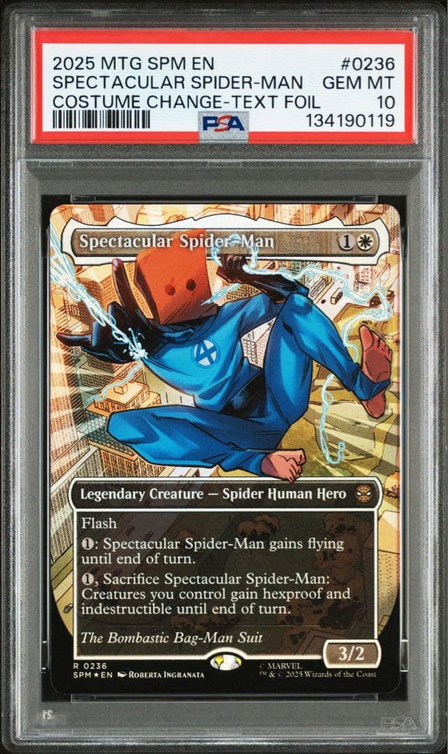 スペクタキュラー・スパイダーマン/Spectacular Spider-Man