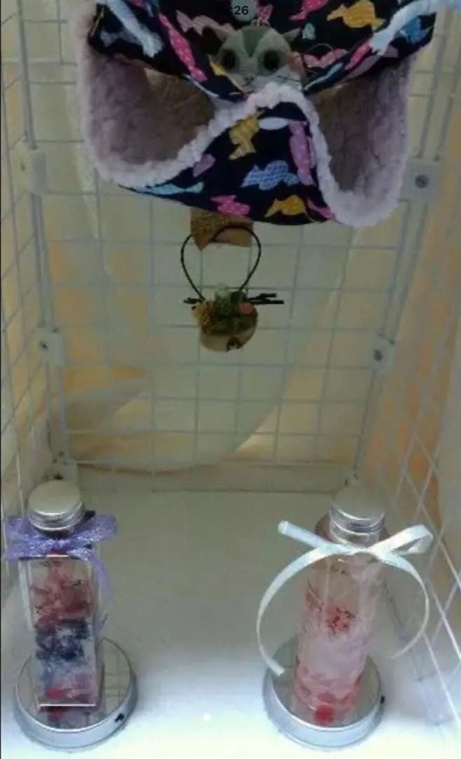 モモンガハウス (キャンディ柄)ボアピンク  1850円