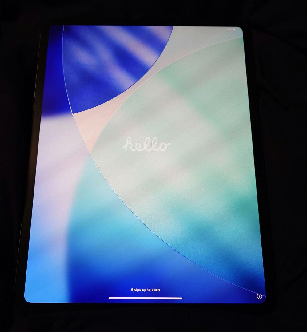 iPad Pro 13インチ M4 256GB Wi-Fi 100%充放電11回