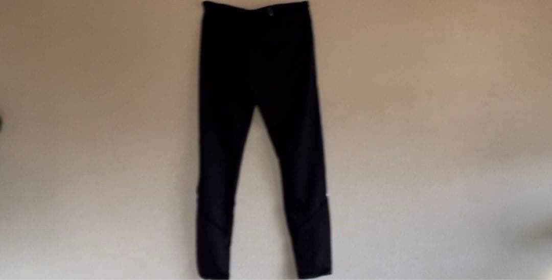 胡*い様 patagonia Men's Peak Mission Tights