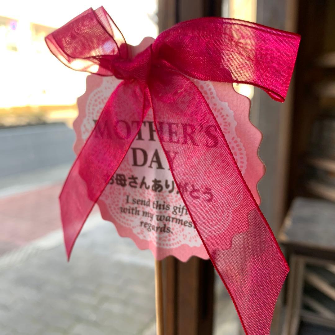 母の日リボン付きピック 100本セット HMA-FP32 ヘッズ HEADS