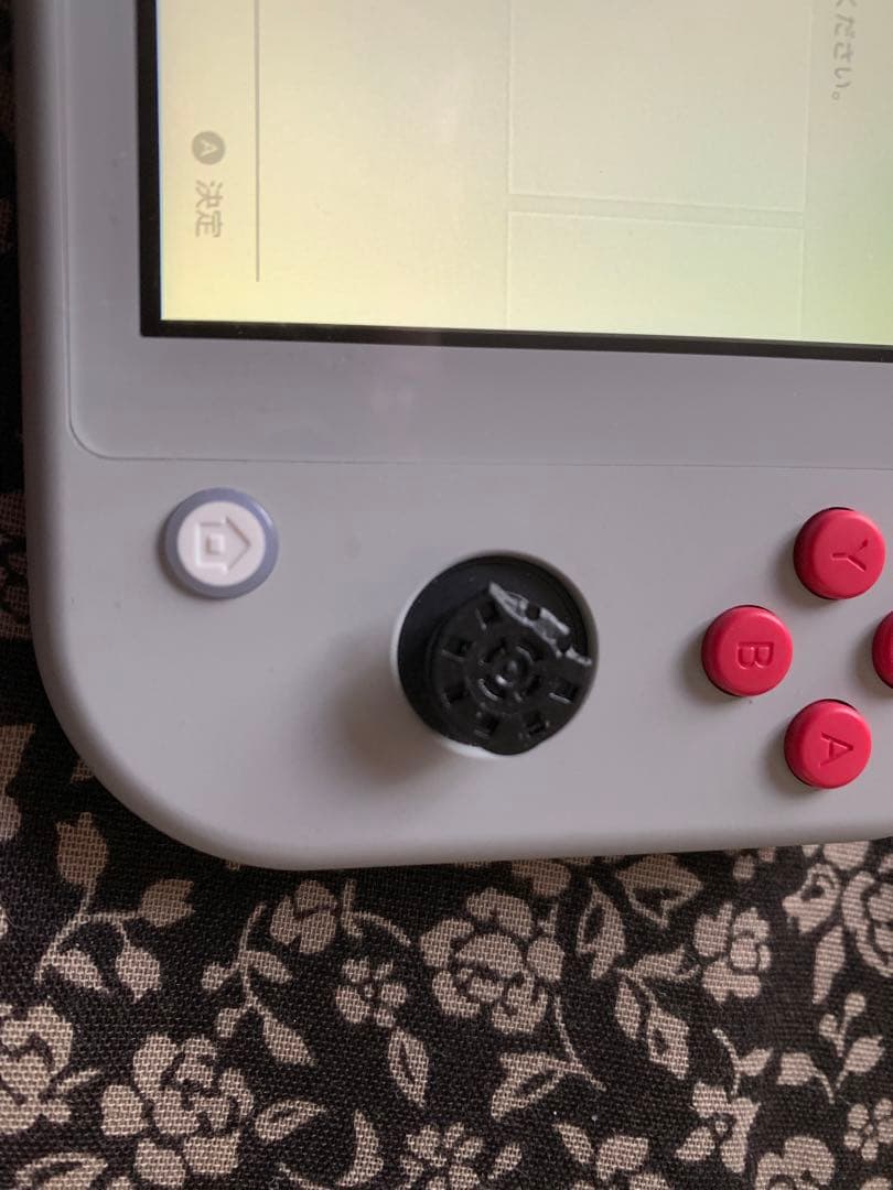 み*ち様 Nintendo Switch Liteポケモン　ニンテンドースイッチ