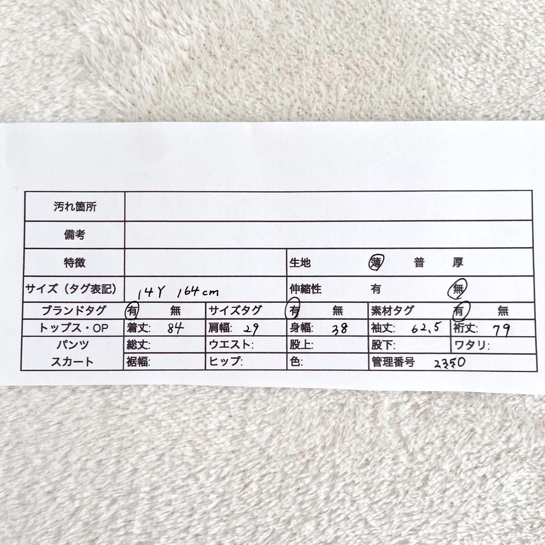 未使用級　現行　Burberry ノバチェック　ワンピース　膝丈　レディースS