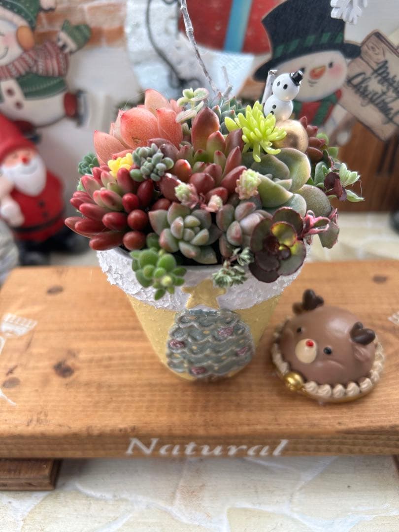 ✳︎専用です✳︎多肉植物そのまま飾れる✳︎素焼きリメイク鉢クリスマス柄イエロー