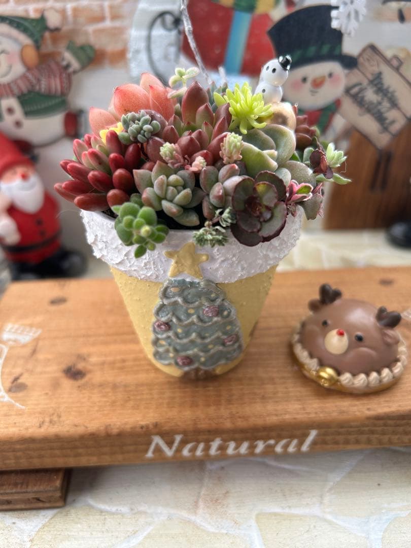 ✳︎専用です✳︎多肉植物そのまま飾れる✳︎素焼きリメイク鉢クリスマス柄イエロー