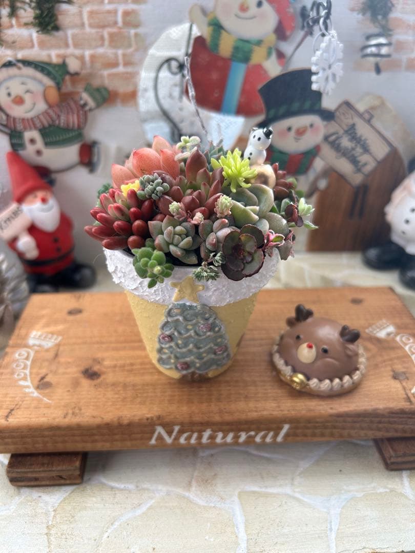 ✳︎専用です✳︎多肉植物そのまま飾れる✳︎素焼きリメイク鉢クリスマス柄イエロー