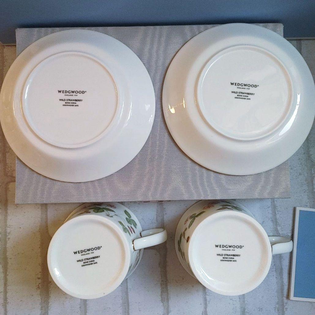 Springセール◆新品 ワイルドストロベリーC&S2客長皿1枚