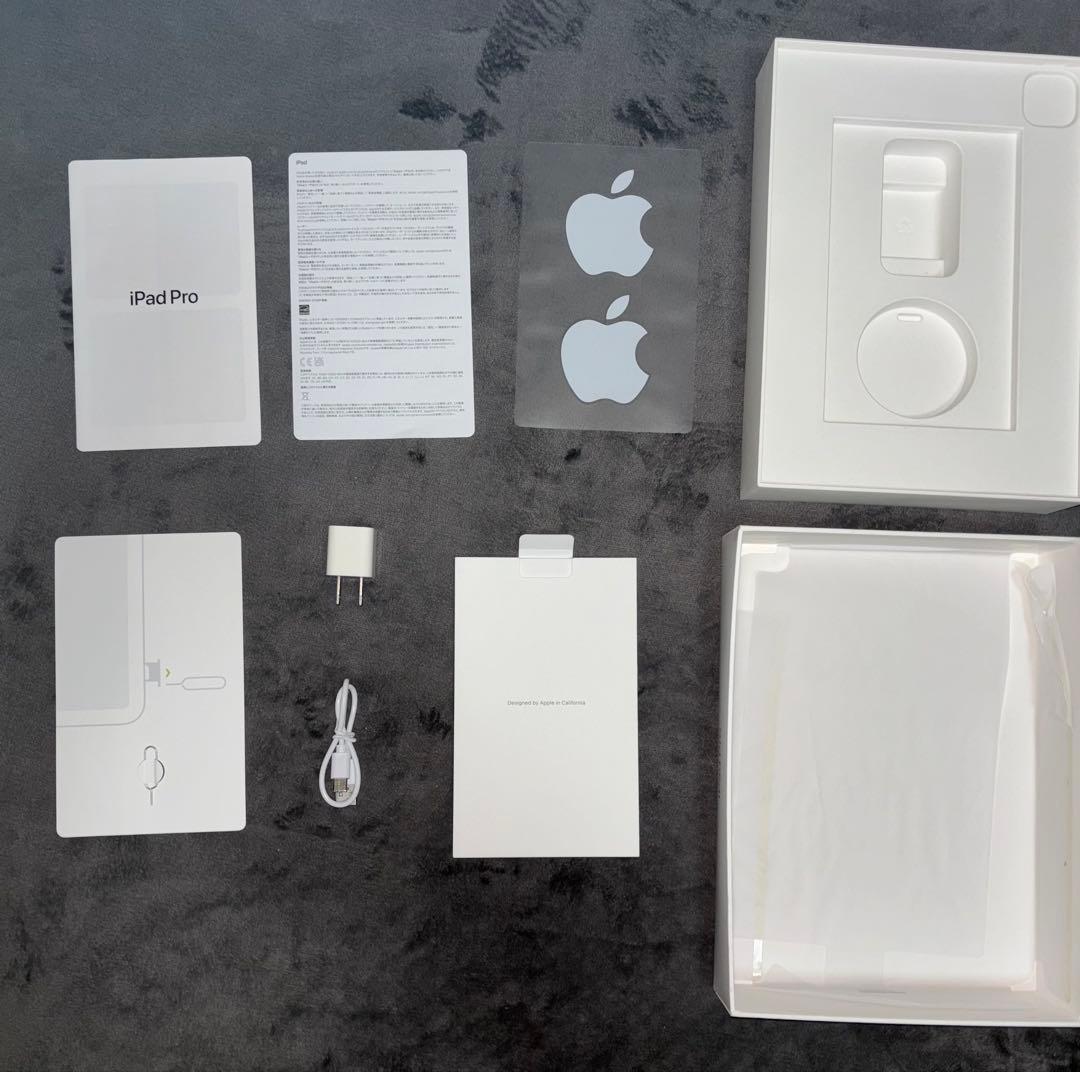 【美品】SIMフリーiPad Pro 11インチ 第4世代128GB＋おまけ付き