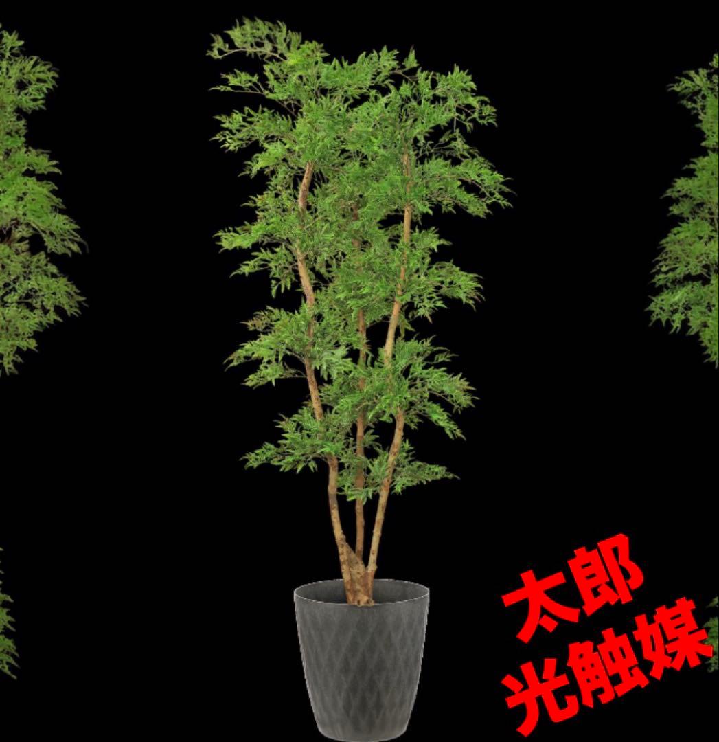 光触媒　人工観葉植物　ウォールグリーン　フェイクグリーン　タイワンモミジ8331