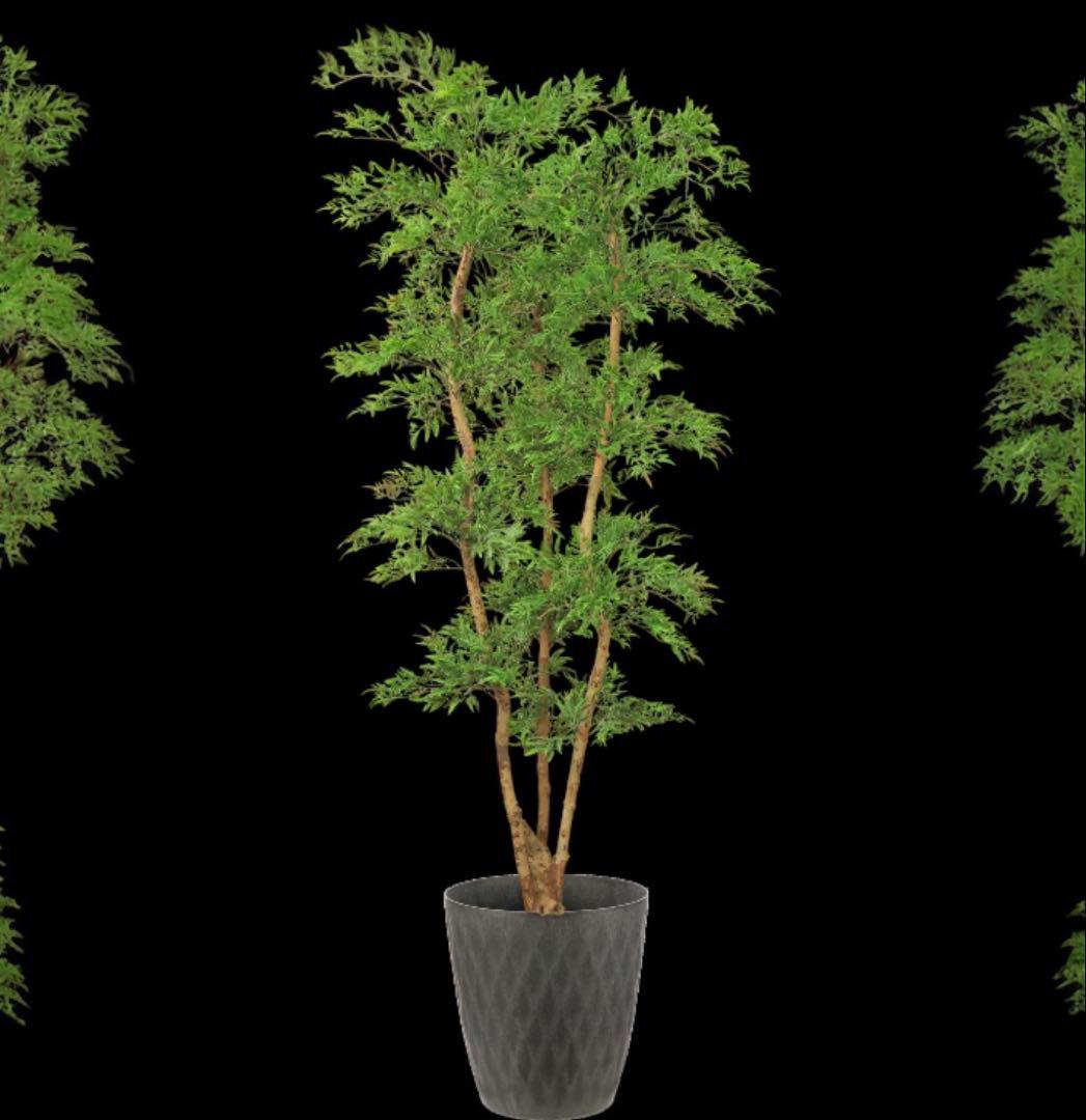 光触媒　人工観葉植物　ウォールグリーン　フェイクグリーン　タイワンモミジ8331