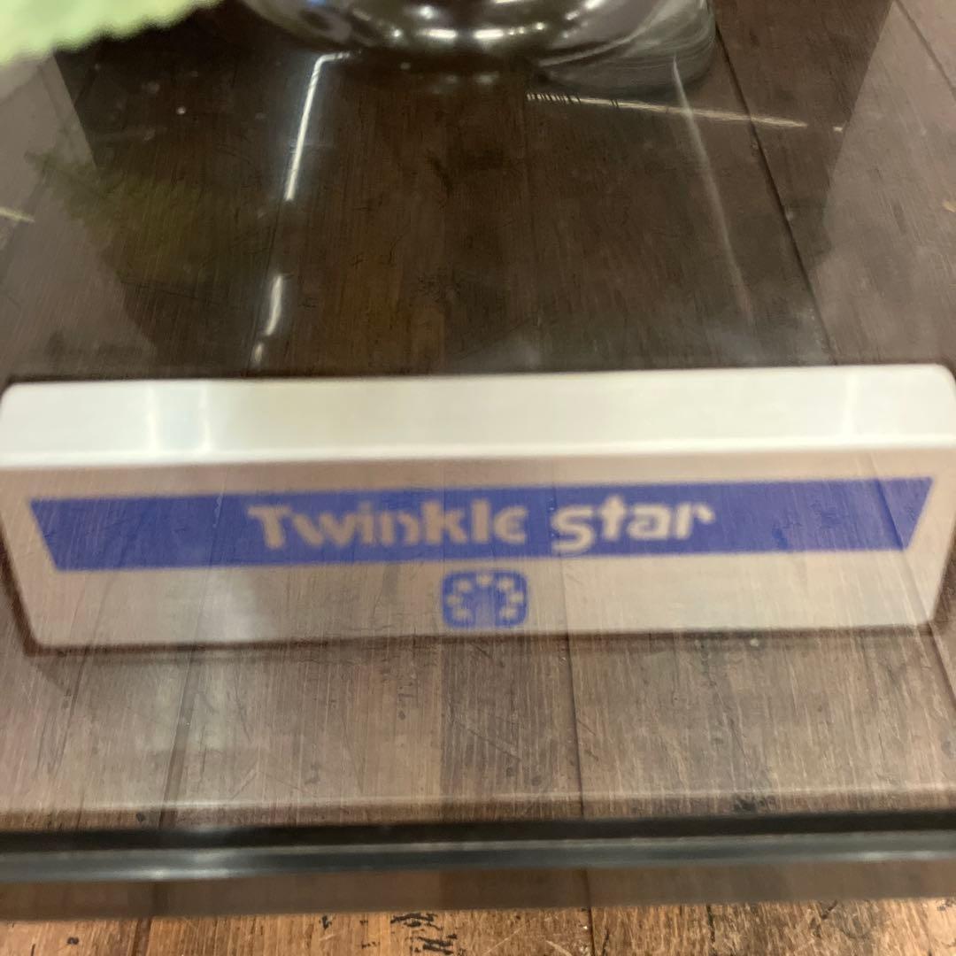 昭和レトロ Twinkle Star イルミネーション 光ファイバー フラワー
