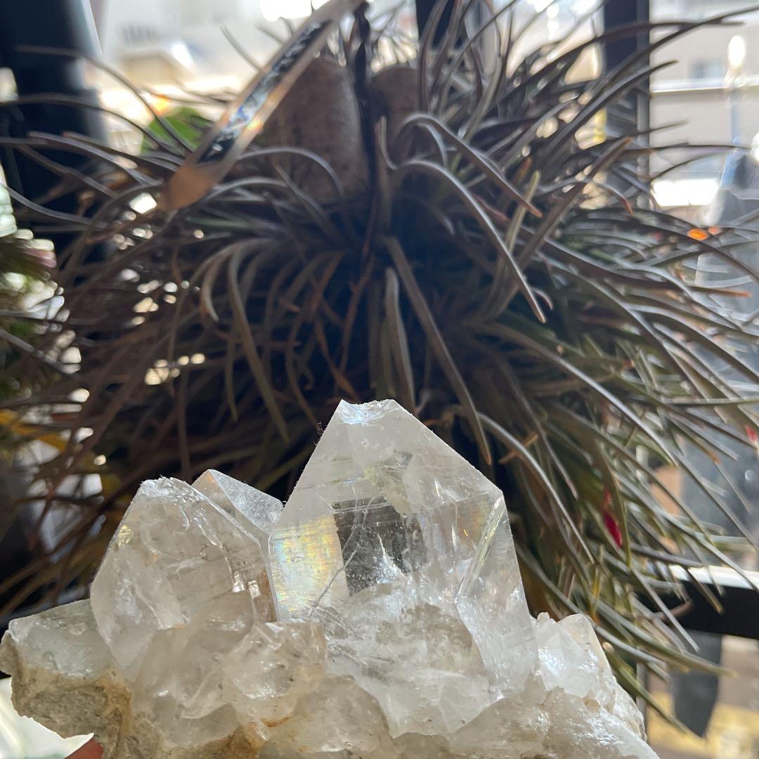 ヒマラヤ マニハール産 水晶 クラスター 浄化セット