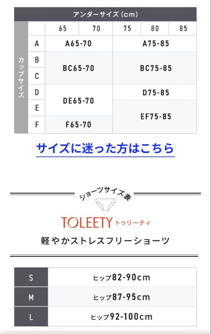 【2枚セット】EF75-85 TOLEETY軽やかストレスフリーブラ＋ショーツ