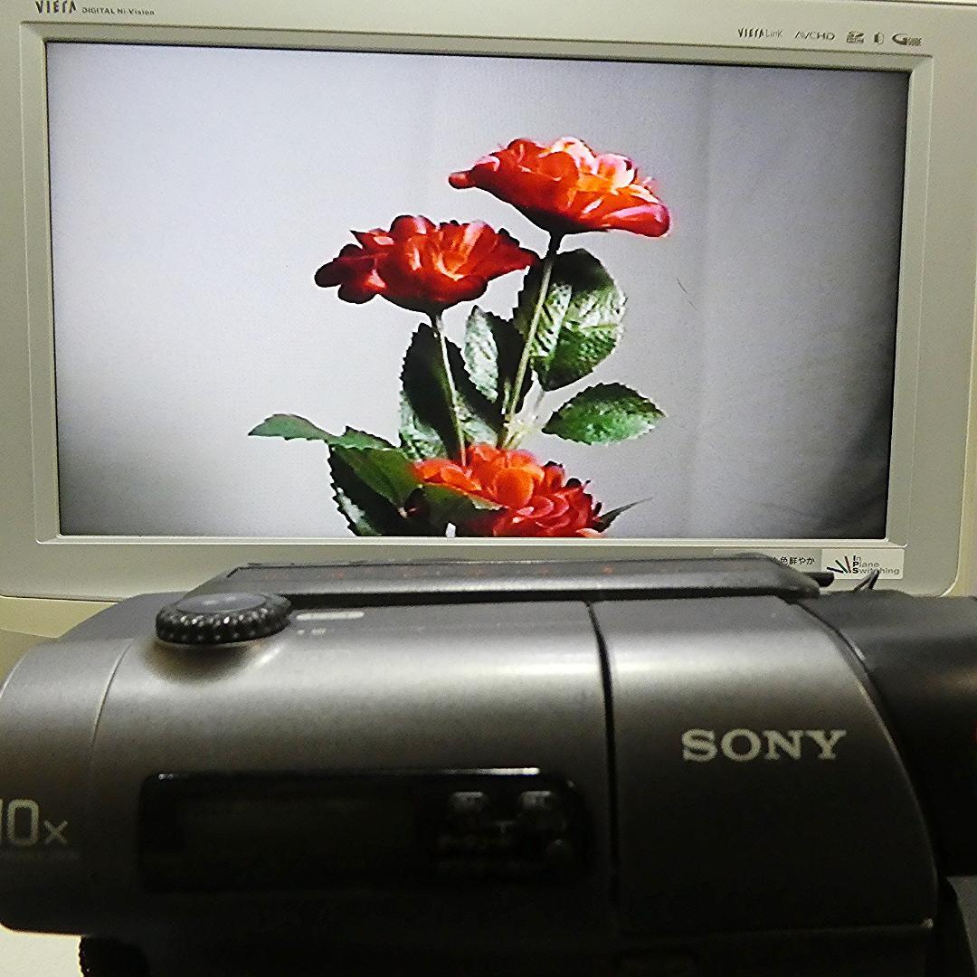 動作良好 ソニーVideoHi8 CCD-TR3 8ミリビデオ　DVD化に最適