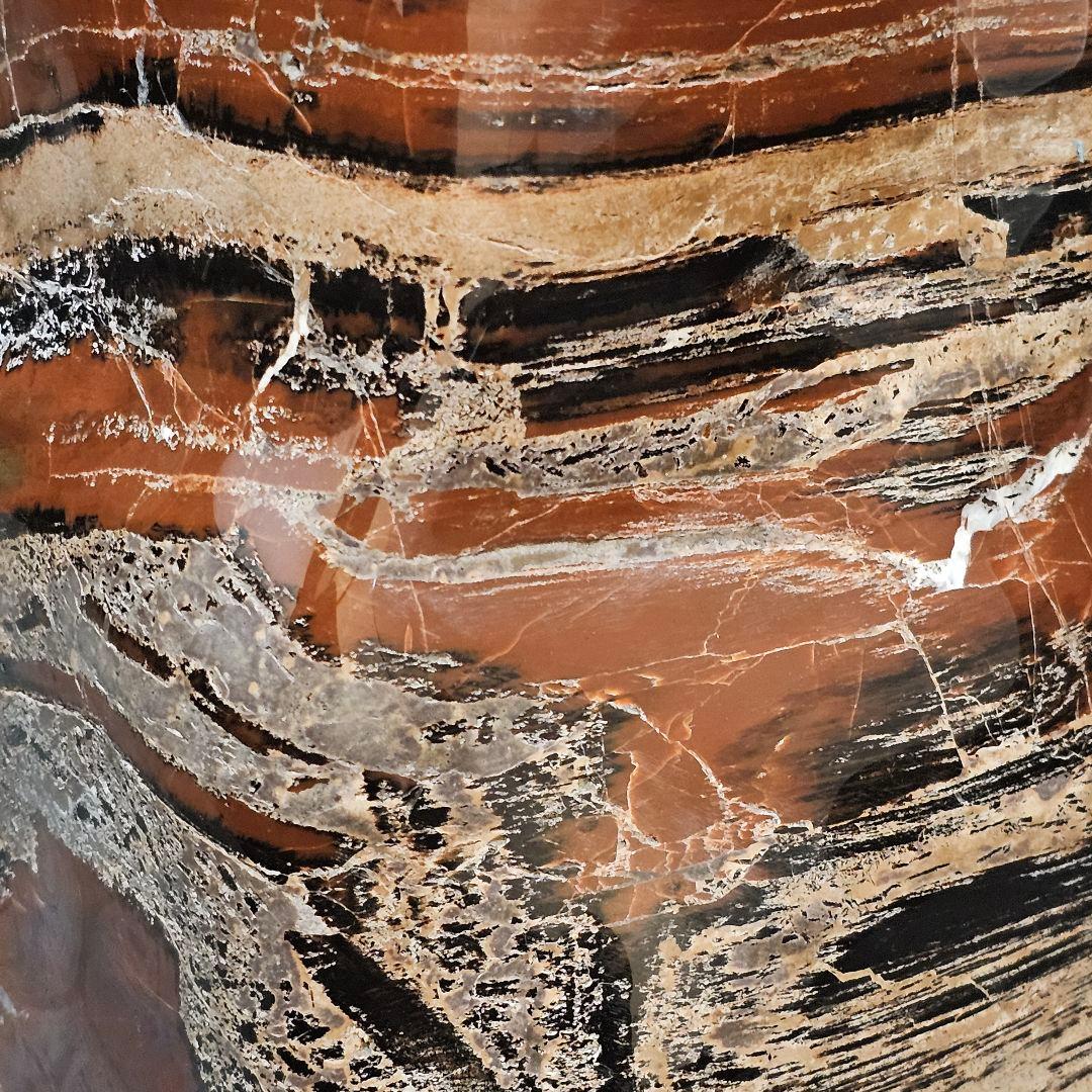 アリゾナ産珪化木51kg 木石　水石　観賞石