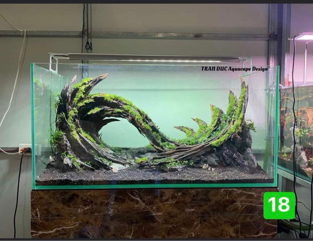 水槽用流木レイアウト 。水槽用流木アクアリウムレイアウト。水槽用流木 。盆栽流木