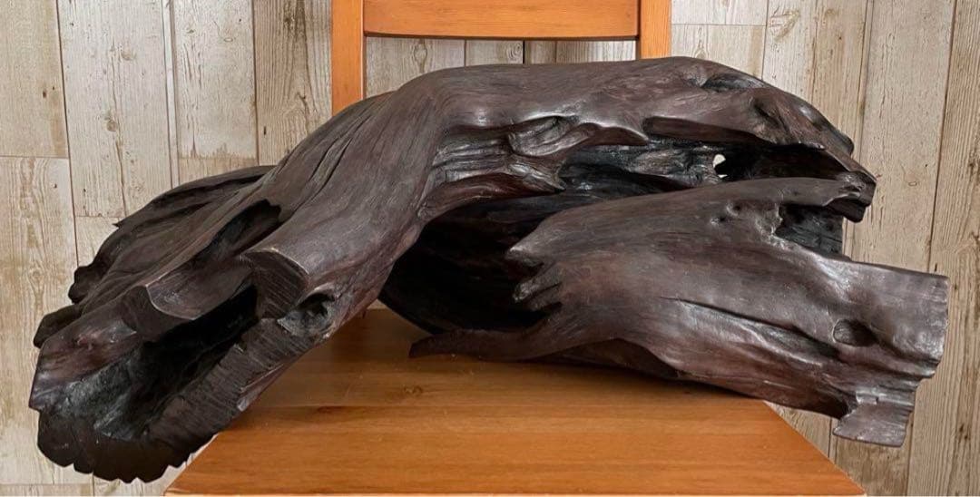 73cm 【大木　天然木　古根　オブジェ】古木　流線形