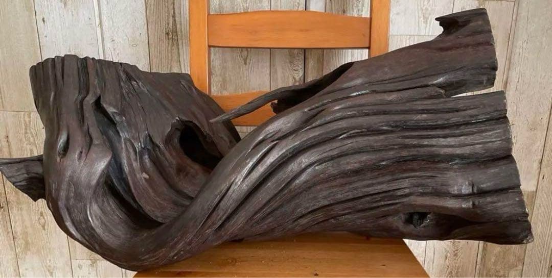 73cm 【大木　天然木　古根　オブジェ】古木　流線形