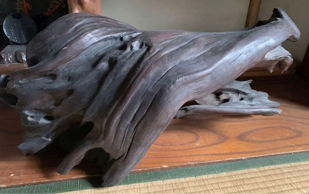 73cm 【大木　天然木　古根　オブジェ】古木　流線形