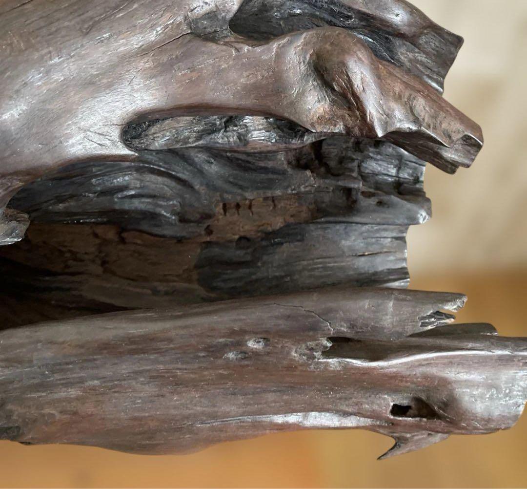 73cm 【大木　天然木　古根　オブジェ】古木　流線形