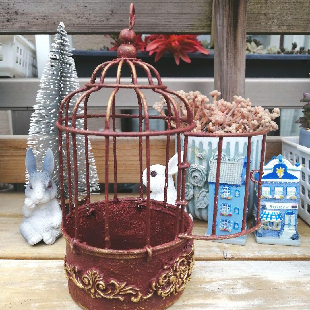 ③アイアン鳥カゴ リメイク鉢(中)