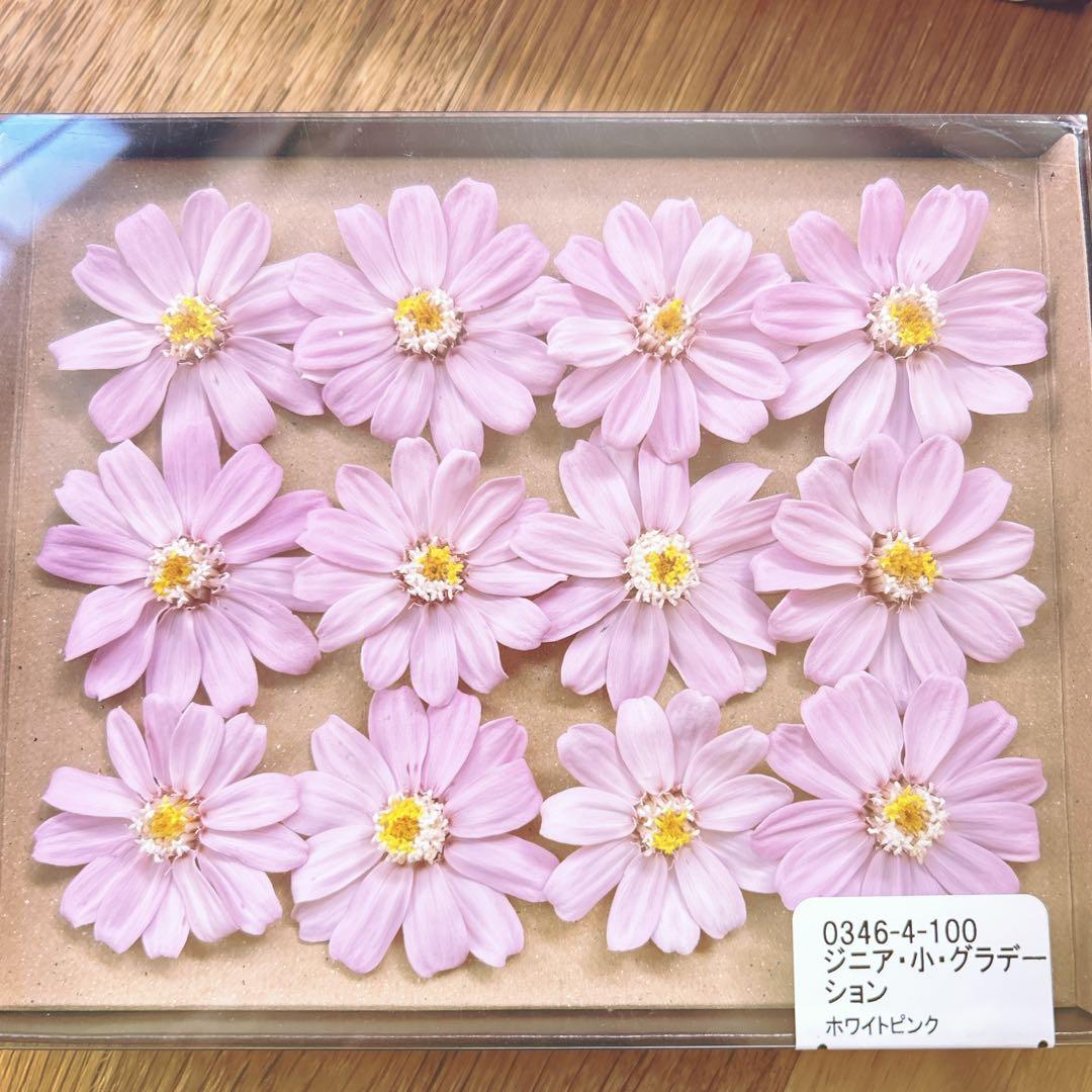 プリザーブドフラワーまとめ売り訳あり品格安❗️
