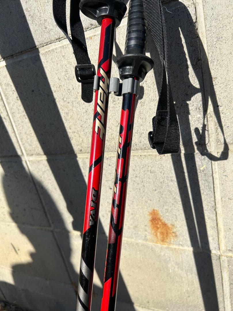 DS.2 RC Hart スキー 163cm ストック付き