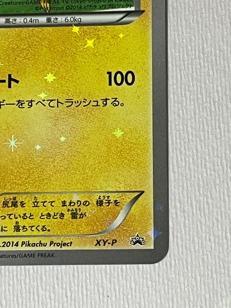 XY-P ピッチのピカチュウ_Jリーグ「ファミリー Joinデイズ」 笑顔版 …