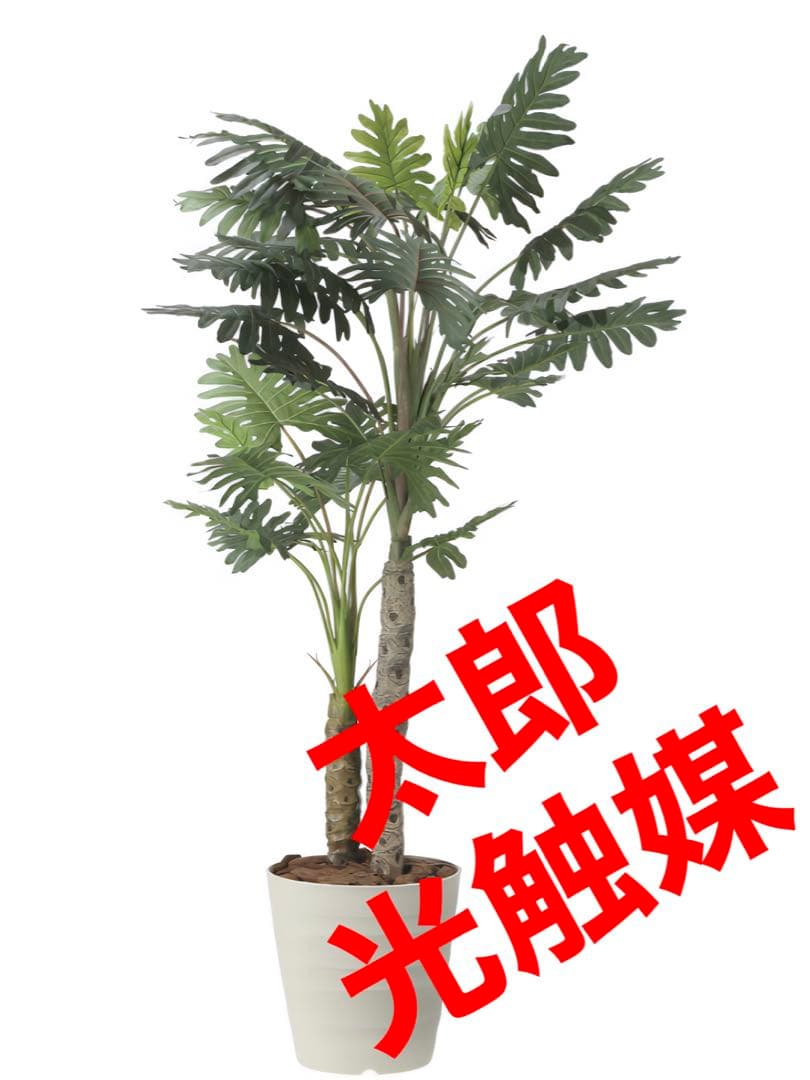 光触媒　人工観葉植物　ウォールグリーン　フェイクグリーン　セロームw1.8