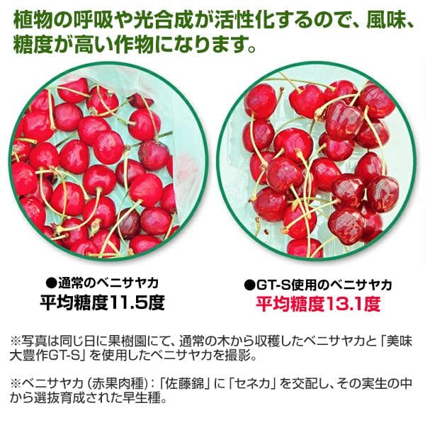 植物活力液 美味大豊作GT-S ５リットル 作物が早く大きく育ち収穫量も増加！