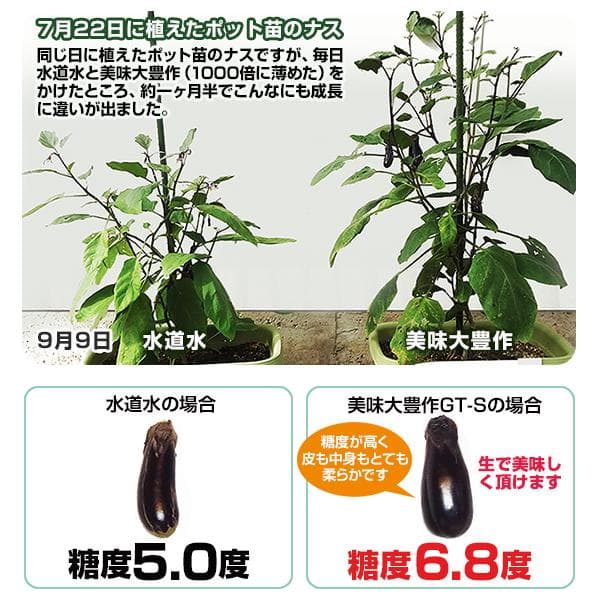 植物活力液 美味大豊作GT-S ５リットル 作物が早く大きく育ち収穫量も増加！