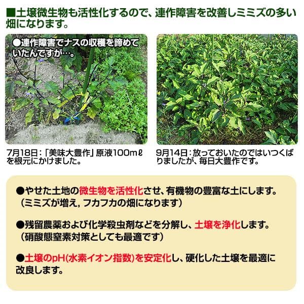 植物活力液 美味大豊作GT-S ５リットル 作物が早く大きく育ち収穫量も増加！