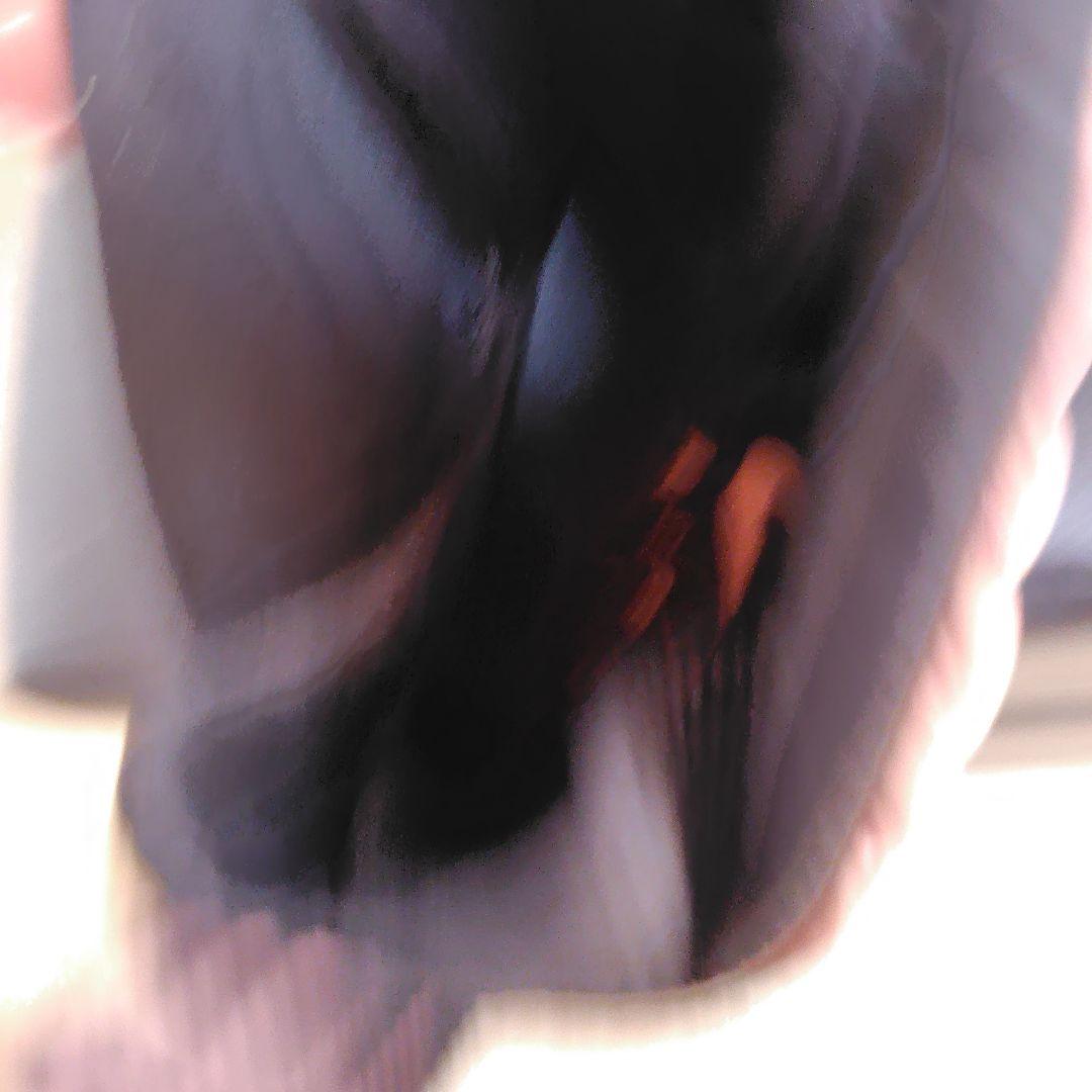 Nike Air Foamposite One ブラック/ライトピンク